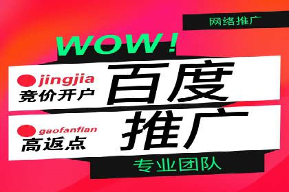 百度竞价代运营实战：某电商平台的销量翻倍秘诀