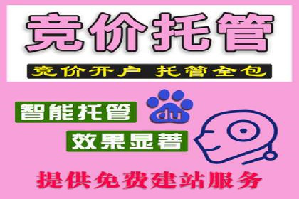 SEM运营公司案例：打造爆款广告策略